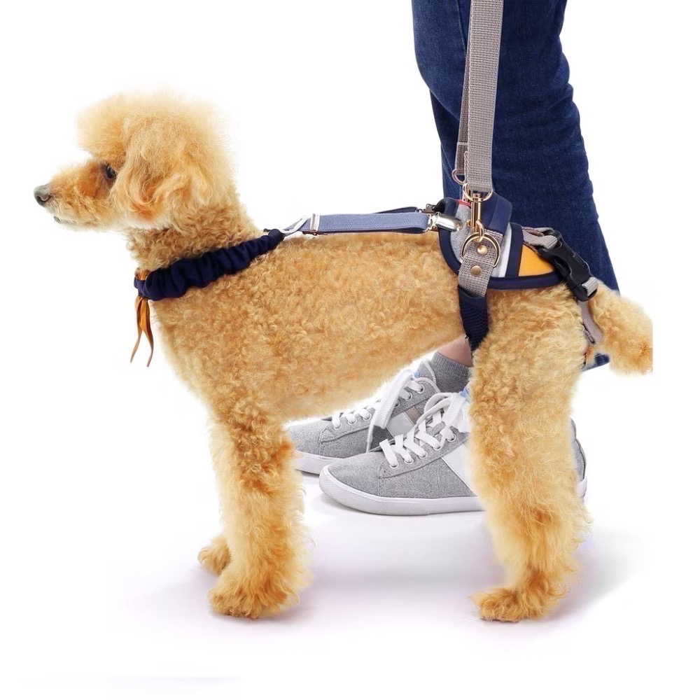 現貨｜日本 LaLaWalk 小型犬後肢輔助帶｜老犬復健支撐帶｜行走無力・癱瘓輔助｜散步提拉帶-規格圖6