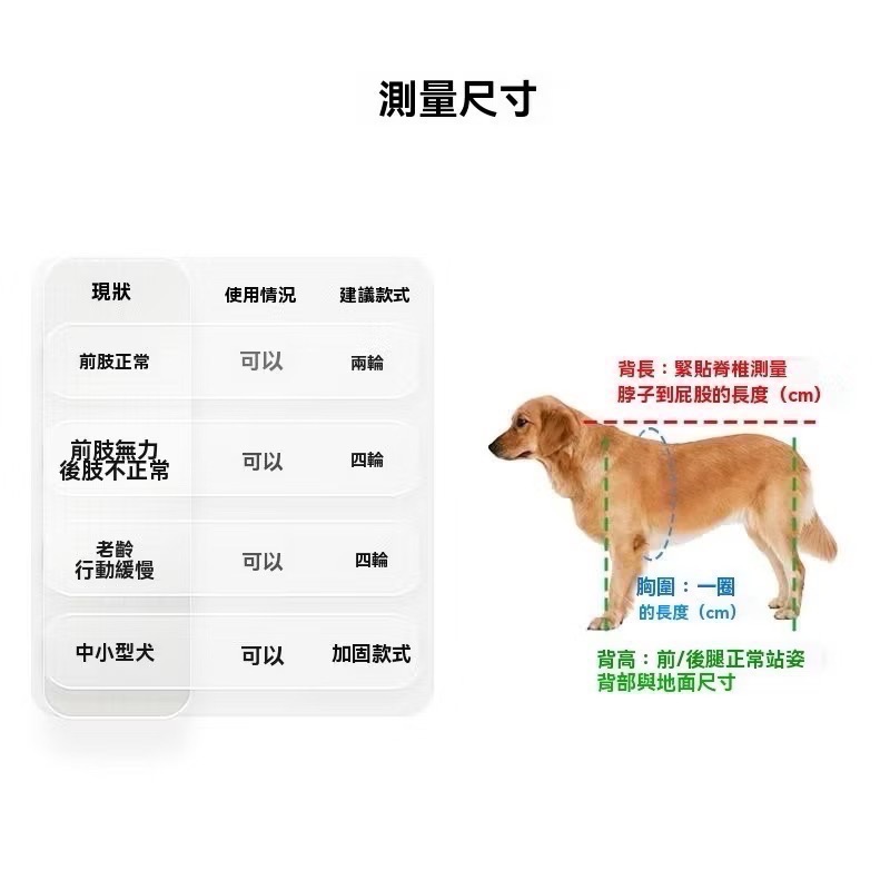 現貨｜寵物輪椅 S號｜狗狗貓咪後肢助行代步車・老年/復健適用-細節圖3