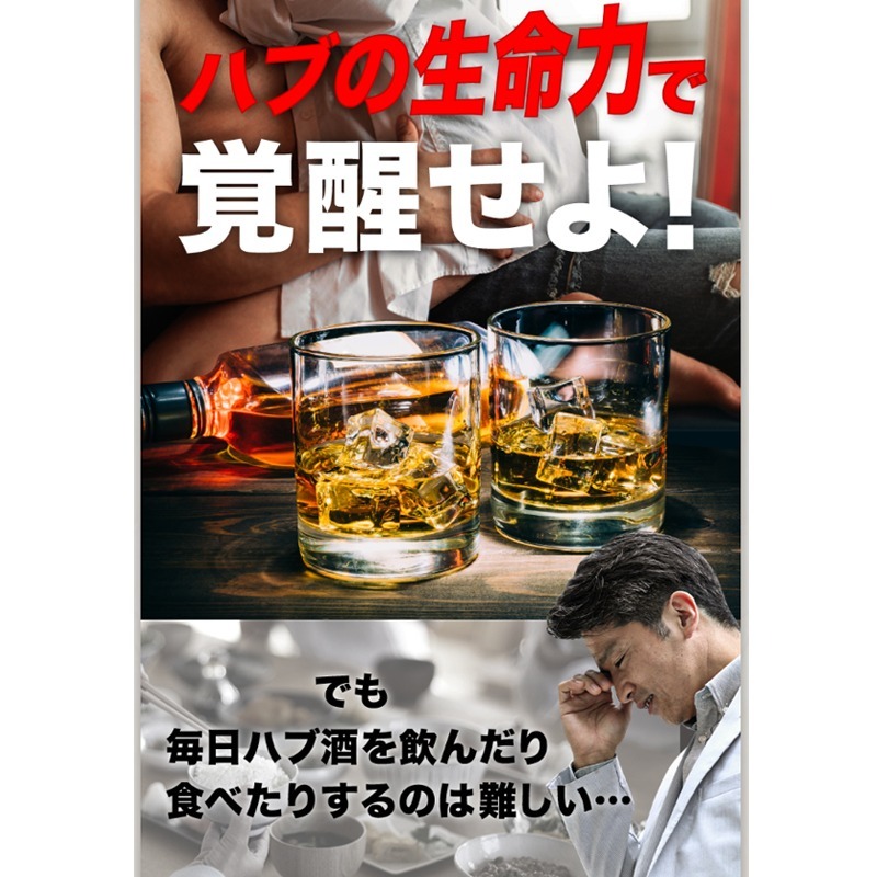 日本 鬪王 最大劑量 黑瑪卡 MACA 30天份-細節圖6