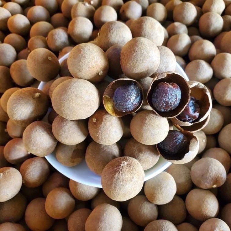 台南東山「賢爸與阿霖」土窯柴燒龍眼乾與龍眼肉-細節圖6