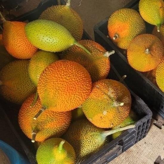 (超商)興爺爺木鱉果[天堂果 茄紅素 胡蘿蔔素 燉雞湯首選 味噌湯好對味 木鱉果汁 蒸蛋 四物湯]-細節圖5