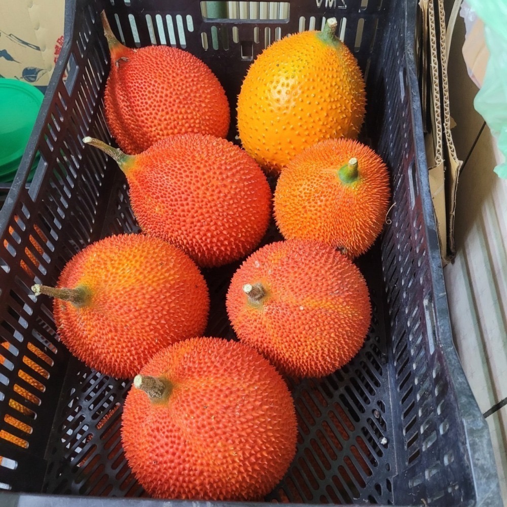 (超商)興爺爺木鱉果[天堂果 茄紅素 胡蘿蔔素 燉雞湯首選 味噌湯好對味 木鱉果汁 蒸蛋 四物湯]-細節圖7