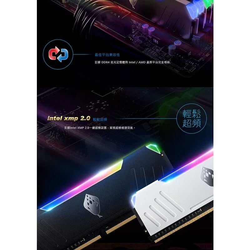 （全新品） 巨蟒DDR4 RGB 3200 32GB(16G x 2)-細節圖5