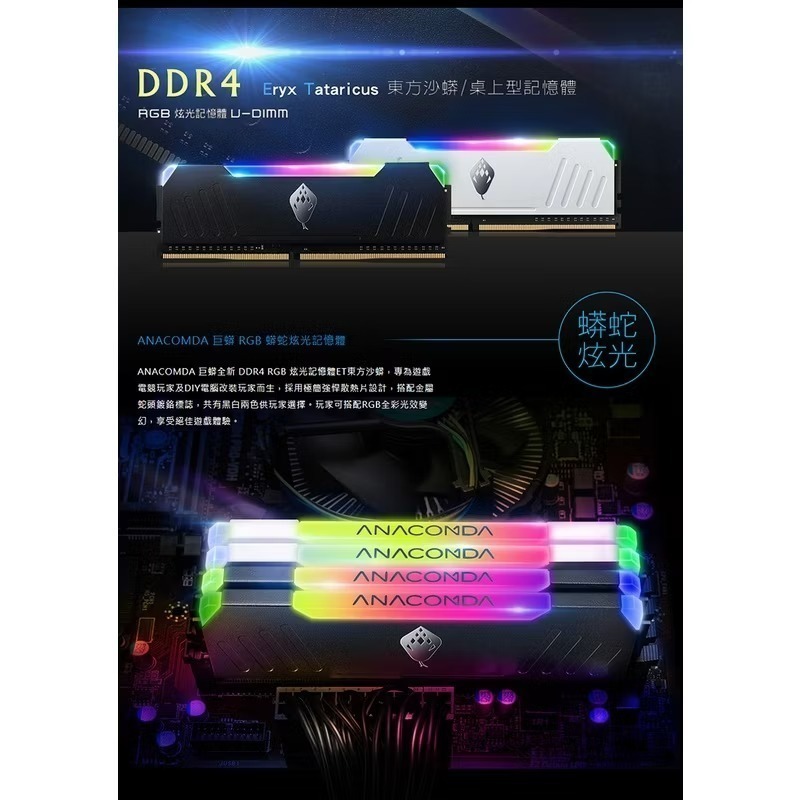 （全新品） 巨蟒DDR4 RGB 3200 32GB(16G x 2)-細節圖7