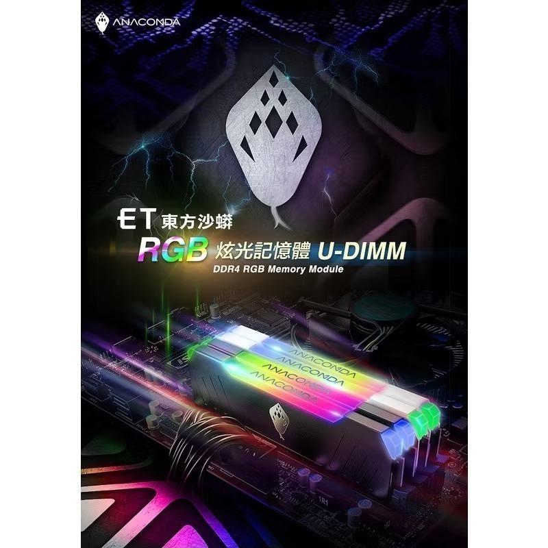 （全新品） 巨蟒DDR4 RGB 3200 32GB(16G x 2)-細節圖8