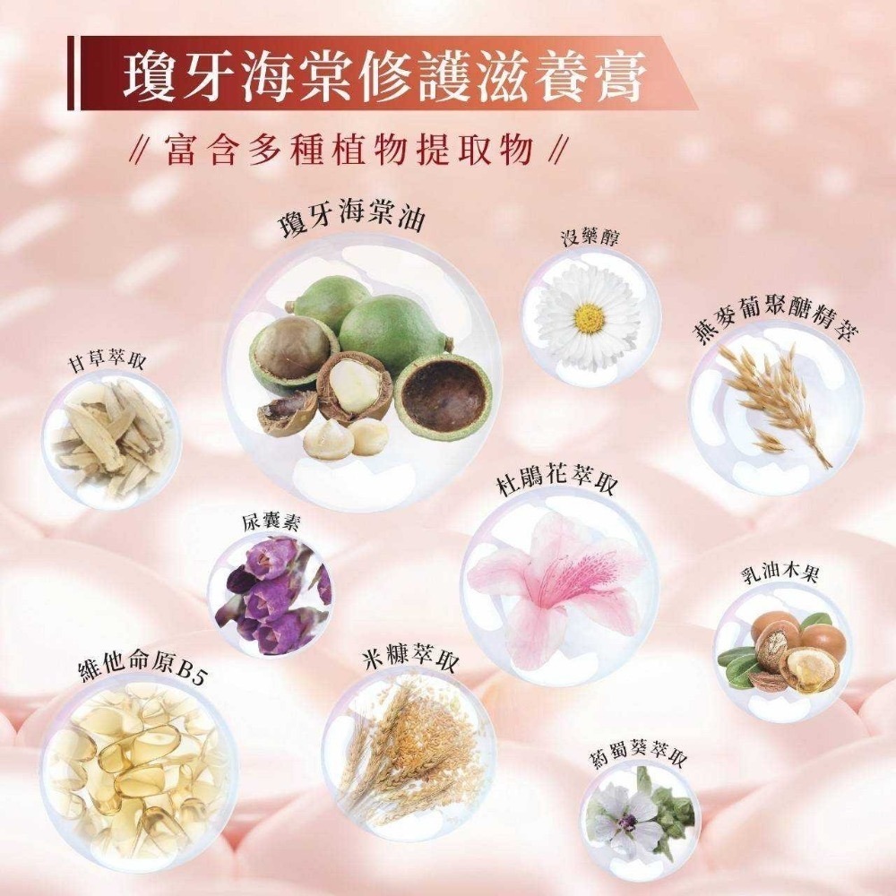 【現貨】🔥Dr.Rell瓊牙海棠修護滋養膏 X暗沉 X色素沉著 - 喬歆精緻生活館