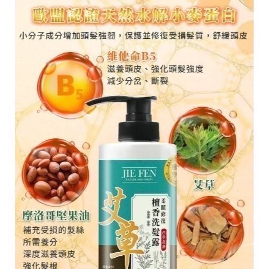 【現貨 Jie Fen潔芬】熱銷 潔芬艾草植萃極淨檀香洗髮露 500ml-細節圖4