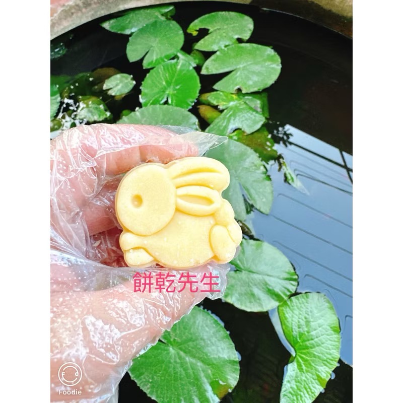 《餅乾先生》全素食純手工，五星飯店專用，桐花綠豆糕可愛兔子造型，土城名產，原味，古早味冰冰涼涼買10送1條，平均20/個-細節圖2