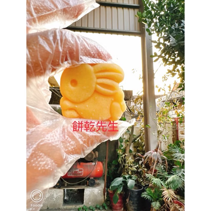 《餅乾先生》全素食純手工，五星飯店專用，桐花綠豆糕可愛兔子造型，土城名產，原味，古早味冰冰涼涼買10送1條，平均20/個-細節圖6
