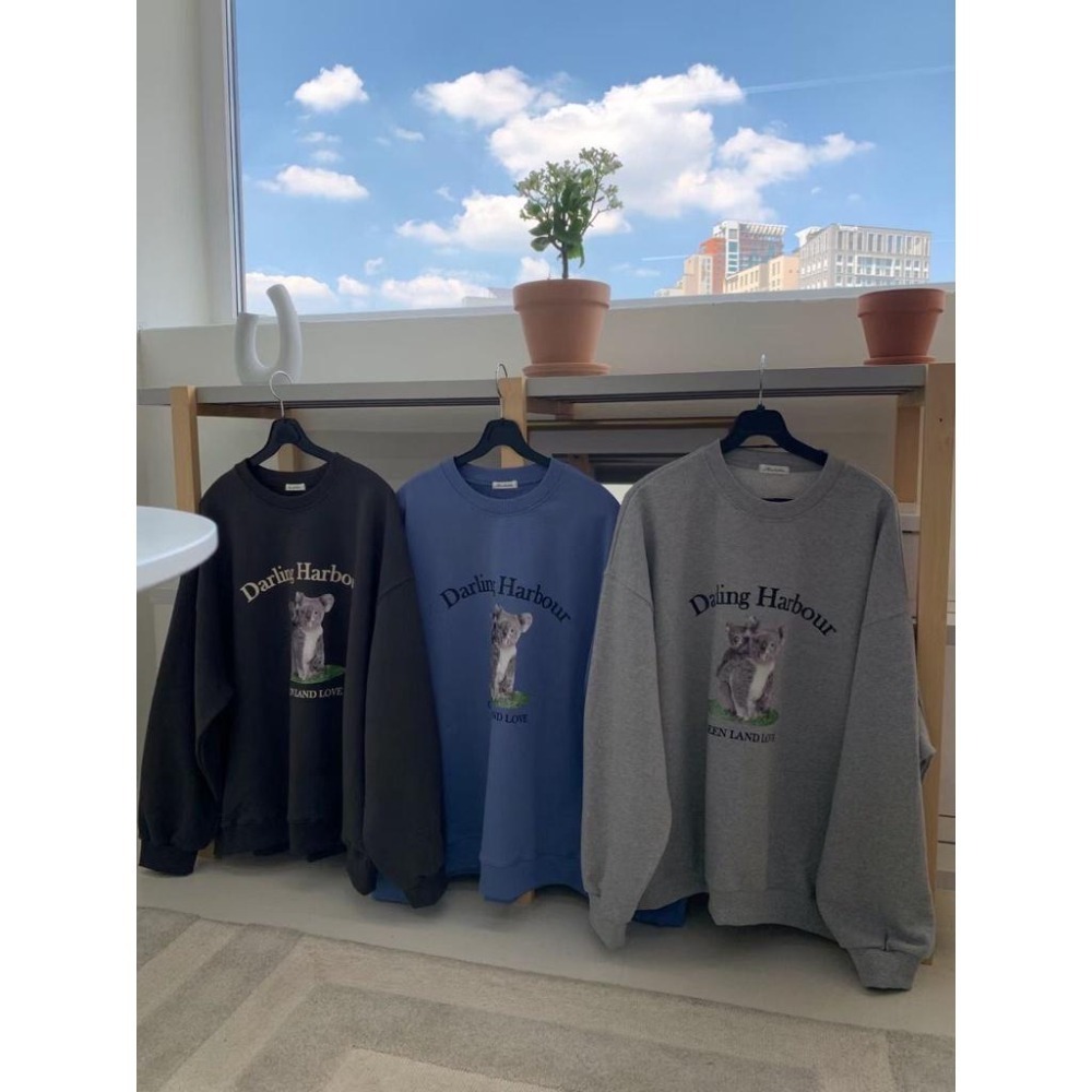 (現貨) 正韓 無尾熊 大學T  長袖上衣 韓國代購 🐨-細節圖4