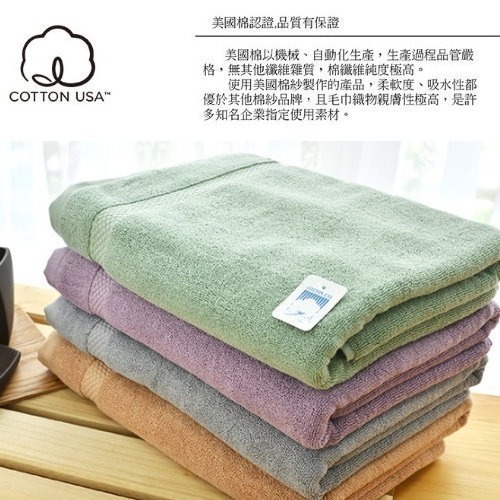 台灣興隆毛巾 雅痞雙股美棉浴巾 毛巾 浴巾 美棉浴巾 美國棉 加厚浴巾 飯店浴巾 星級浴巾 台灣製毛巾 台灣現貨-細節圖2
