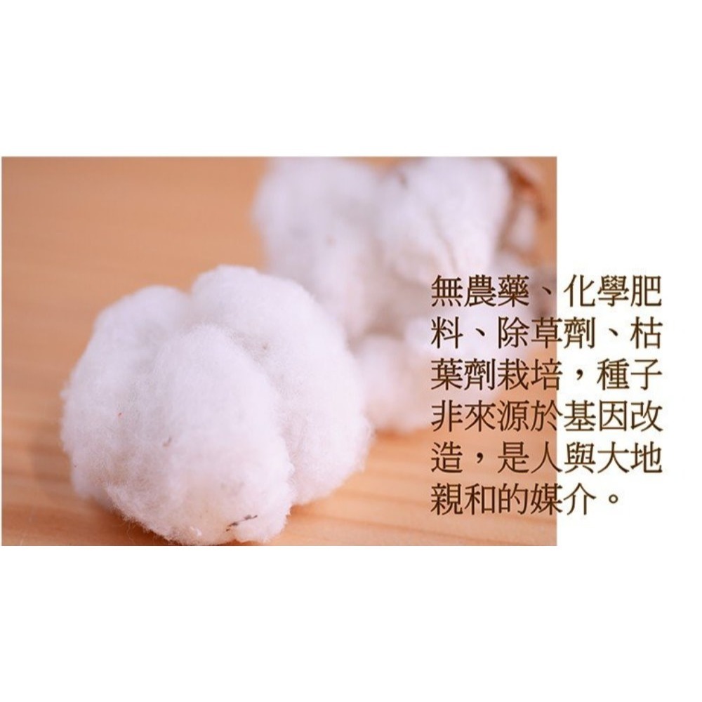 有機棉．繡蜜蜂毛巾(6條組) 【台灣興隆毛巾專賣】 毛巾 浴巾 有機棉 無染毛巾 天然無毒 台灣製現貨-細節圖5