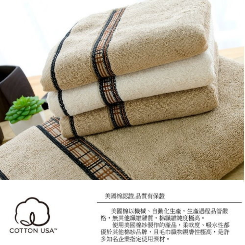 美國棉．低調奢華厚款毛巾(2條毛巾組) 【台灣興隆毛巾】飯店等級厚款毛巾-細節圖3