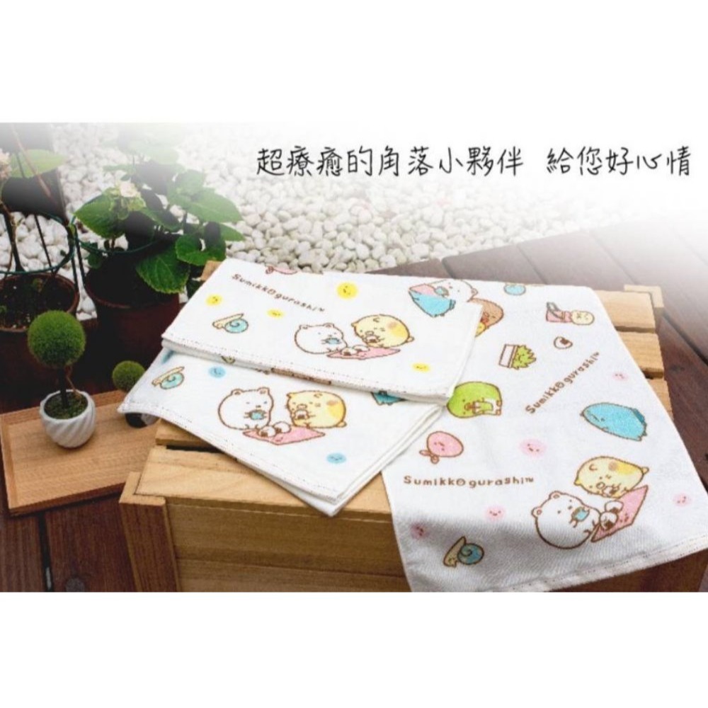 角落生物紗布毛巾(2條毛巾組)  【台灣興隆毛巾專賣．歐米亞】雙層織造 親膚性佳  正版授權-細節圖2