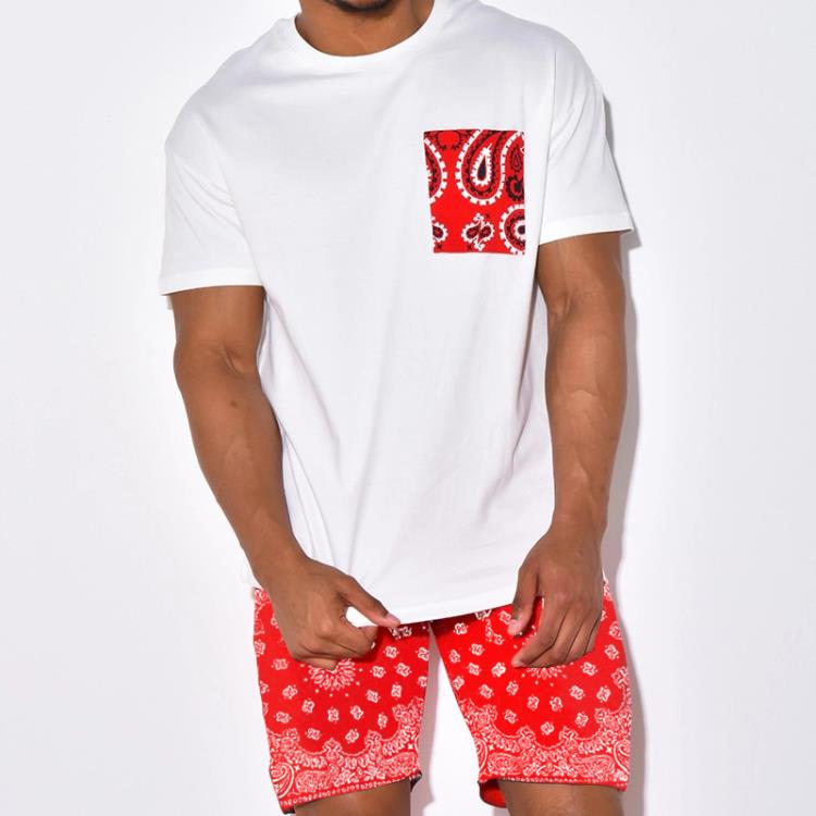 短褲 2023男裝休閒套裝腰果花印花爆款歐美短袖二件套男-細節圖4