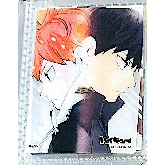 【全新】✿現貨/日版✿ 排球少年/ensky 透卡01-規格圖4