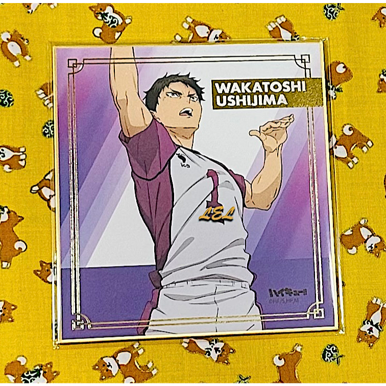 【全新】✿現貨/日版✿ 排球少年/色紙系列-規格圖2