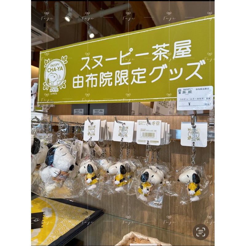 【富士🇯🇵日本代購】全新正版現貨 PEANUTS 史努比 SNOOPY 日本各地 裝扮系列 鑰匙圈 公仔吊飾 溫泉♨-細節圖3