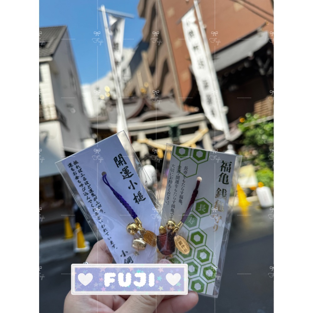 【富士🇯🇵日本代購】全新正版現貨 小網神社 招財 商業繁盛 強運厄除守 開運小槌 福龜 錢龜 守り-細節圖4