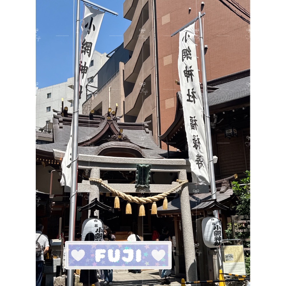 【富士🇯🇵日本代購】全新正版現貨 小網神社 招財 商業繁盛 強運厄除守 開運小槌 福龜 錢龜 守り-細節圖5