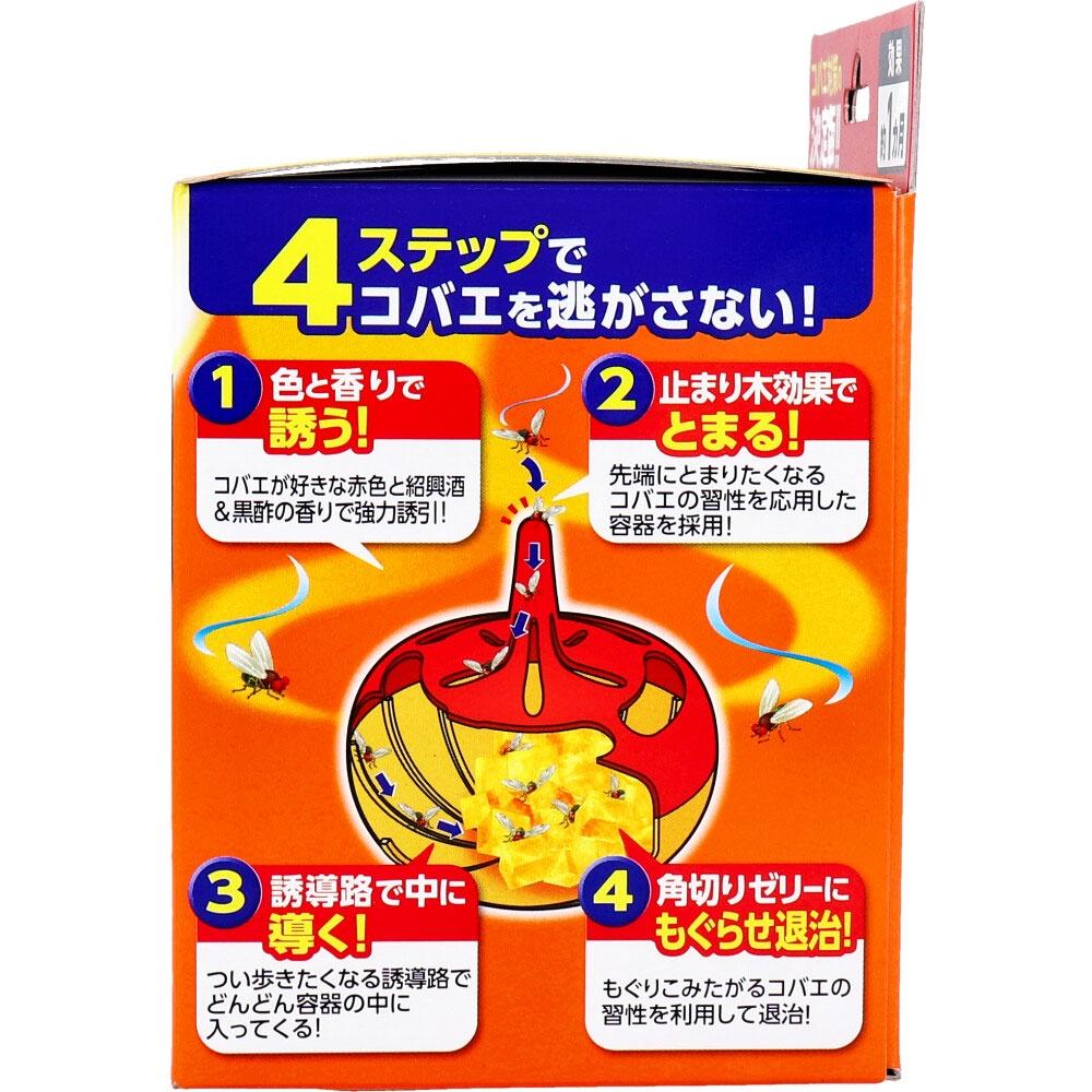 ~日本原裝～果‒蠅～誘餌~現貨-細節圖3