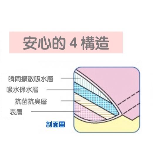 日本購入/抗菌消臭少量尿失禁內褲(吸水50cc)/漏尿/安心褲/安心外出/分解異味/失禁褲/輕失禁/現貨-細節圖2