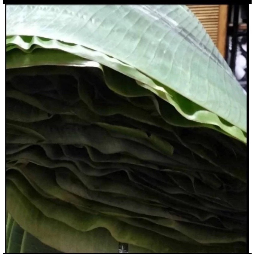 芭蕉葉 鮮採-細節圖3
