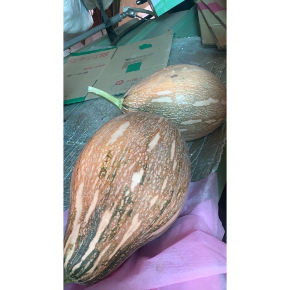 🎉颱風過後，所剩寥寥無幾可以採收了 【產地來源】嘉義朴子鹹地 【產品名稱】阿嬌南瓜  【產品售價】💥一斤29元💥 【重量-細節圖2