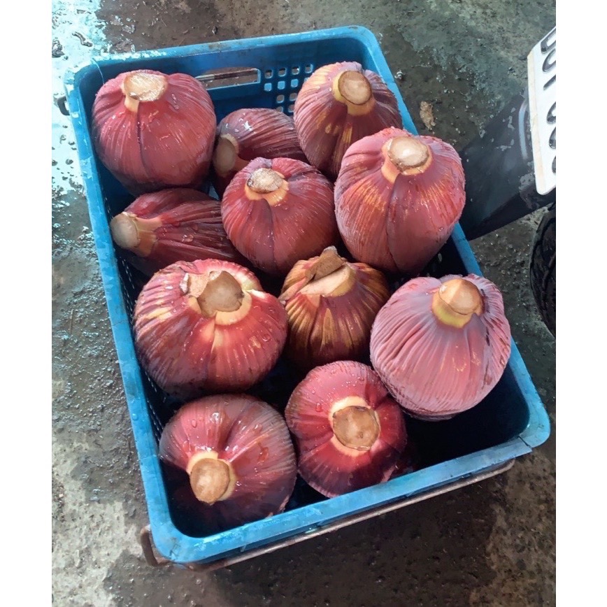 芭蕉花花批發價-細節圖2