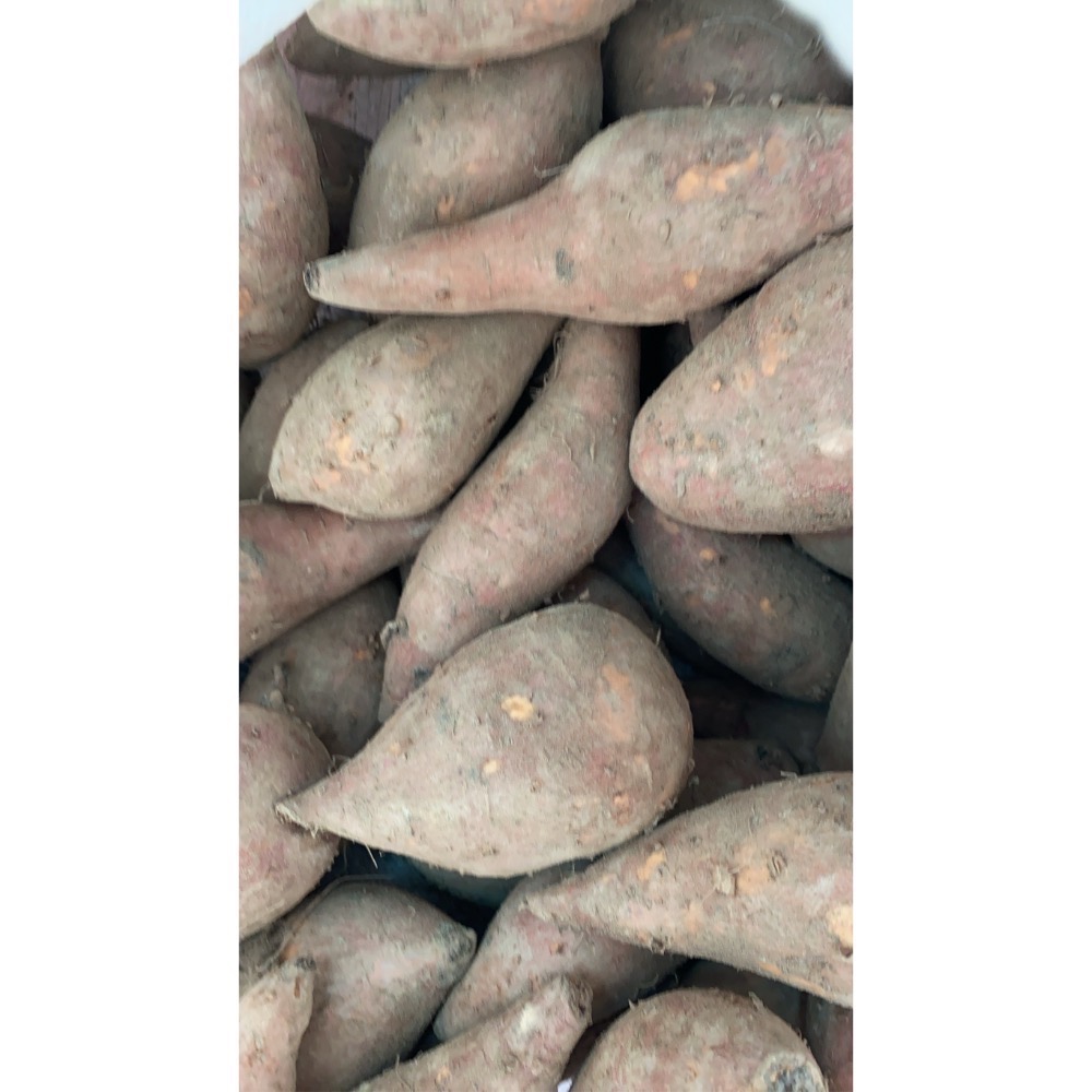 整箱的舒美布-規格圖1