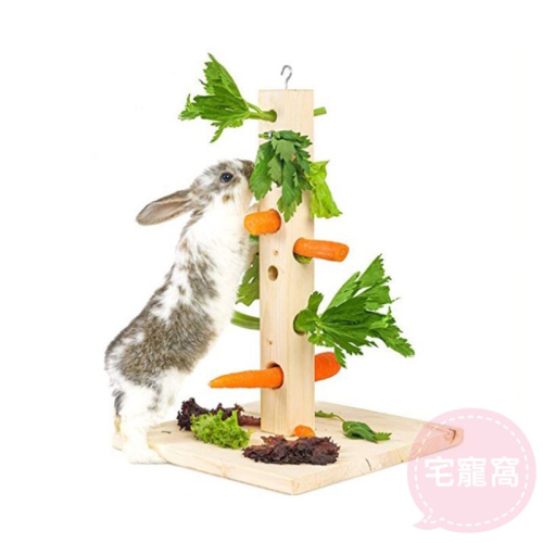 兔子木頭餵食草架食物架