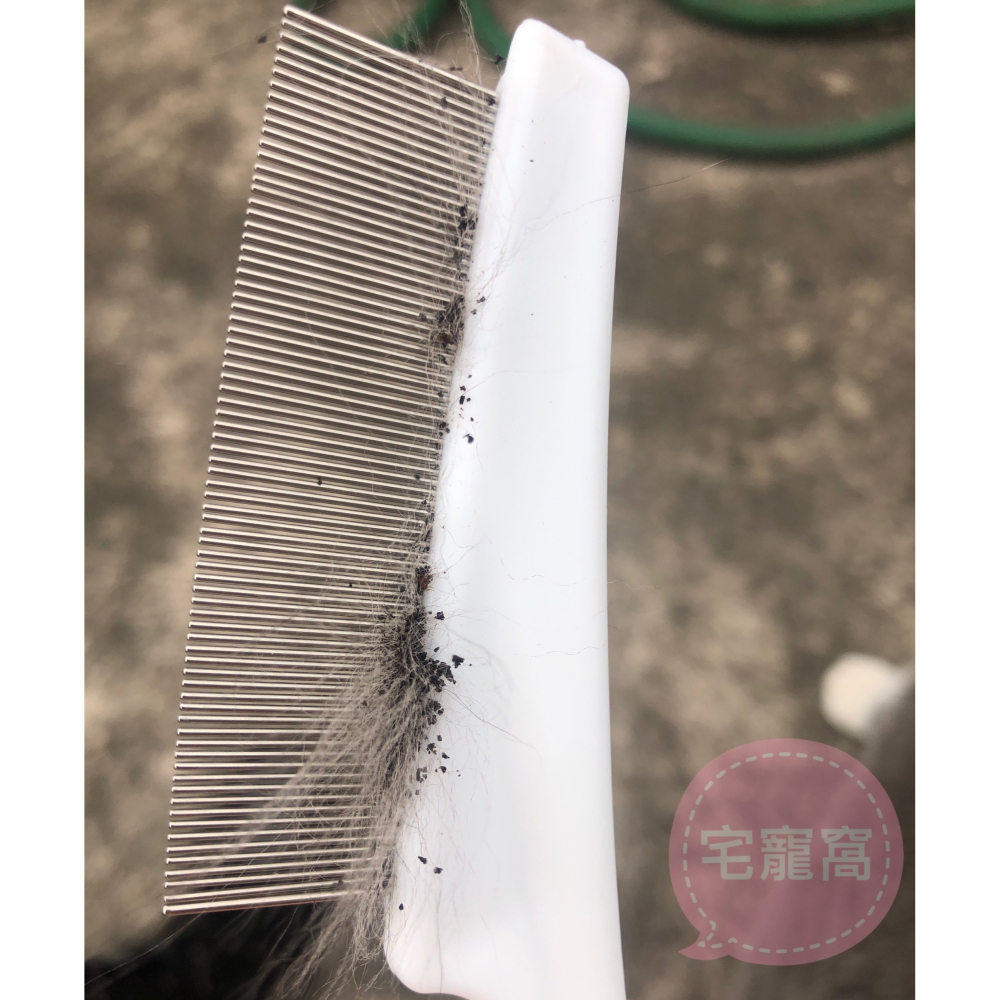 貓狗密齒梳 美容梳 跳蚤梳 寵物清潔用品-細節圖4