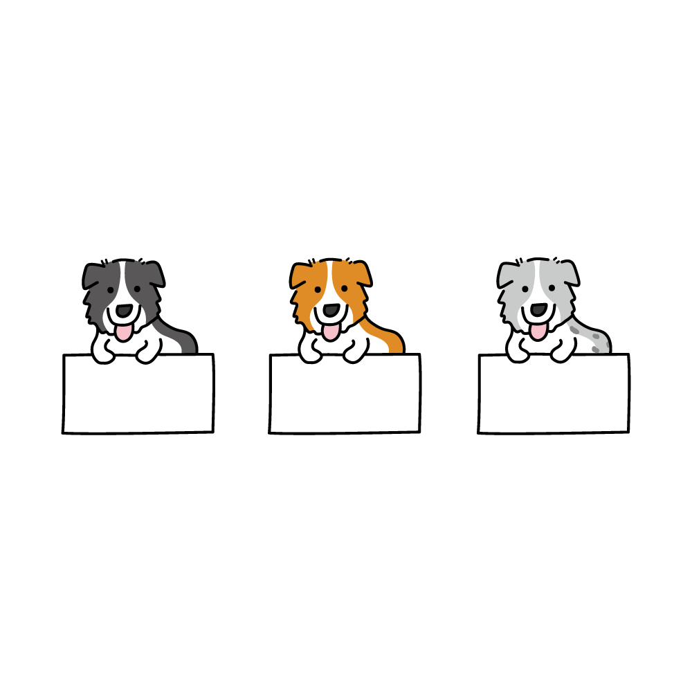 手繪白底姓名貼【防水、耐高溫】- 邊境牧羊犬 50入-規格圖4