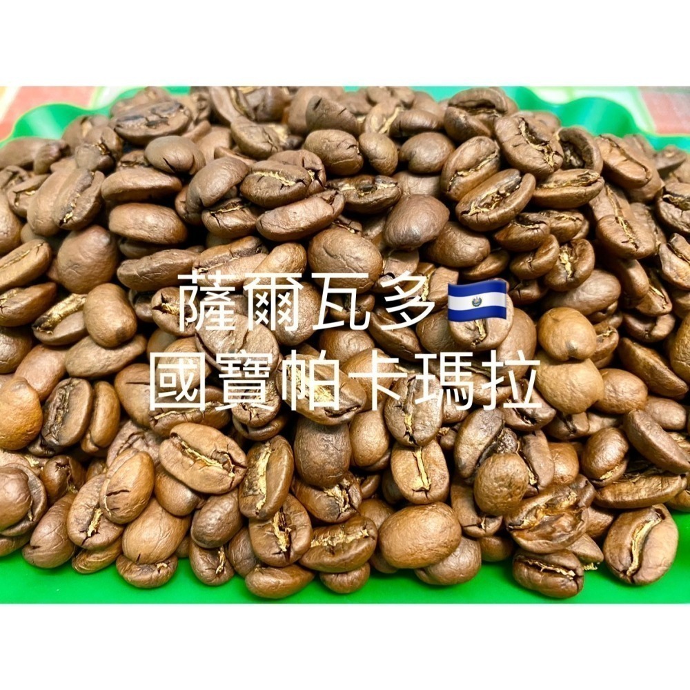 薩爾瓦多國寶 帕卡瑪拉 PacaMara-細節圖3