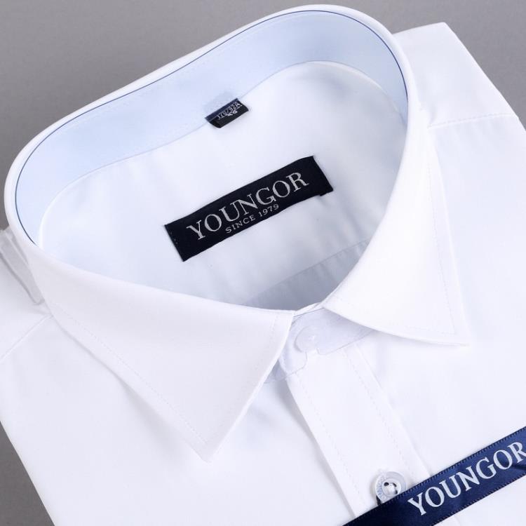 春秋季長袖襯衫青年男士商務正裝職業正裝白襯衣商務休閒純色襯衫-細節圖2