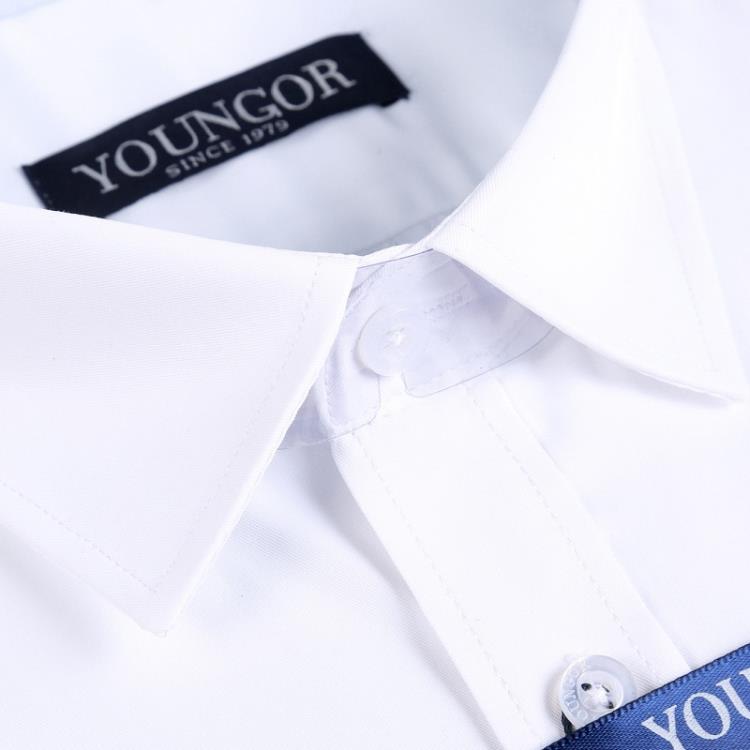 春秋季長袖襯衫青年男士商務正裝職業正裝白襯衣商務休閒純色襯衫-細節圖4