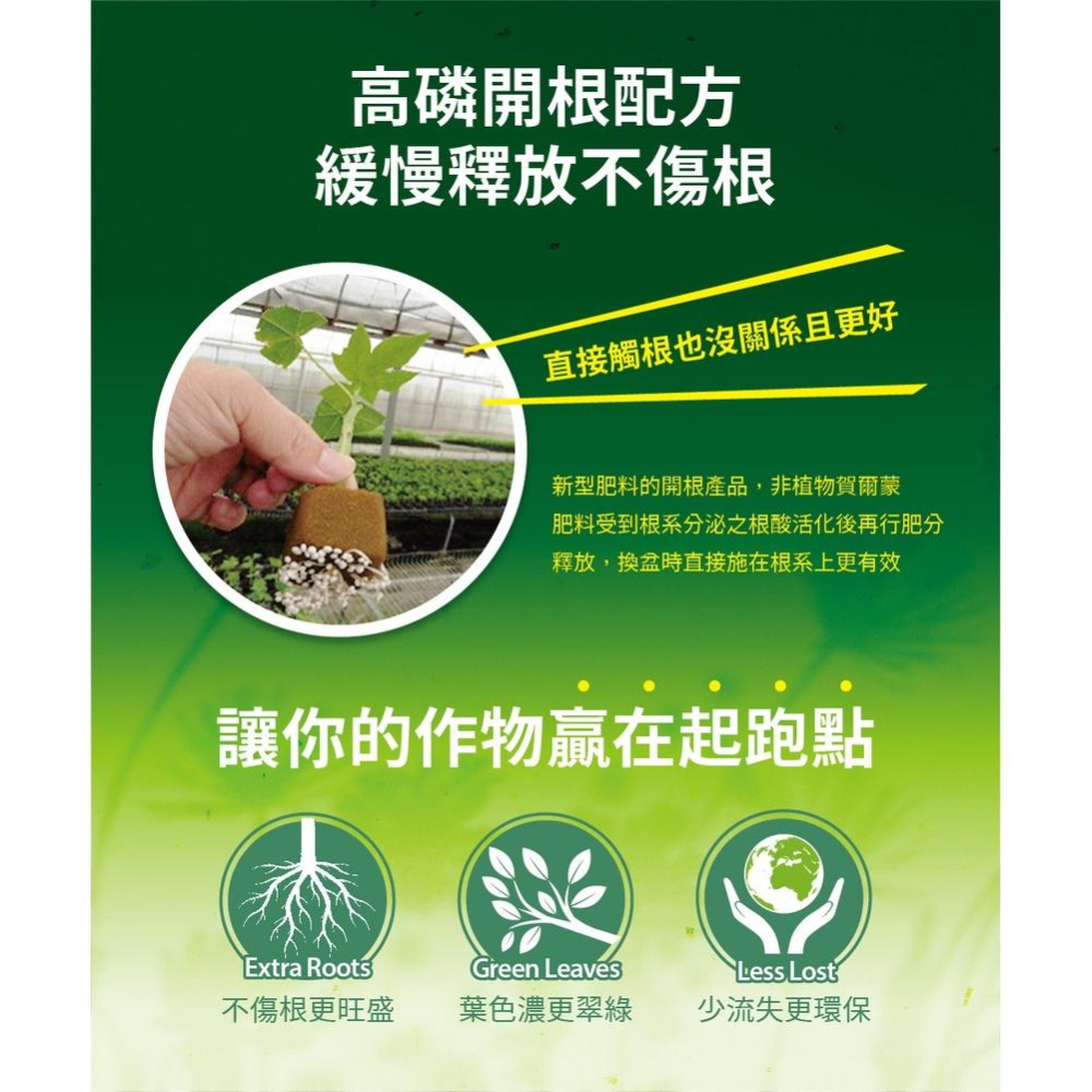 【肉肉朋友】 花田綠地 晶綠® 長效肥 300g 源動綠 晶綠緩釋磷肥 5-28-0+17MgO 開根-細節圖4
