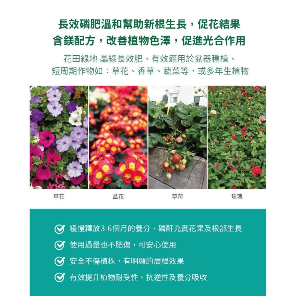 【肉肉朋友】 花田綠地 晶綠® 長效肥 300g 源動綠 晶綠緩釋磷肥 5-28-0+17MgO 開根-細節圖5