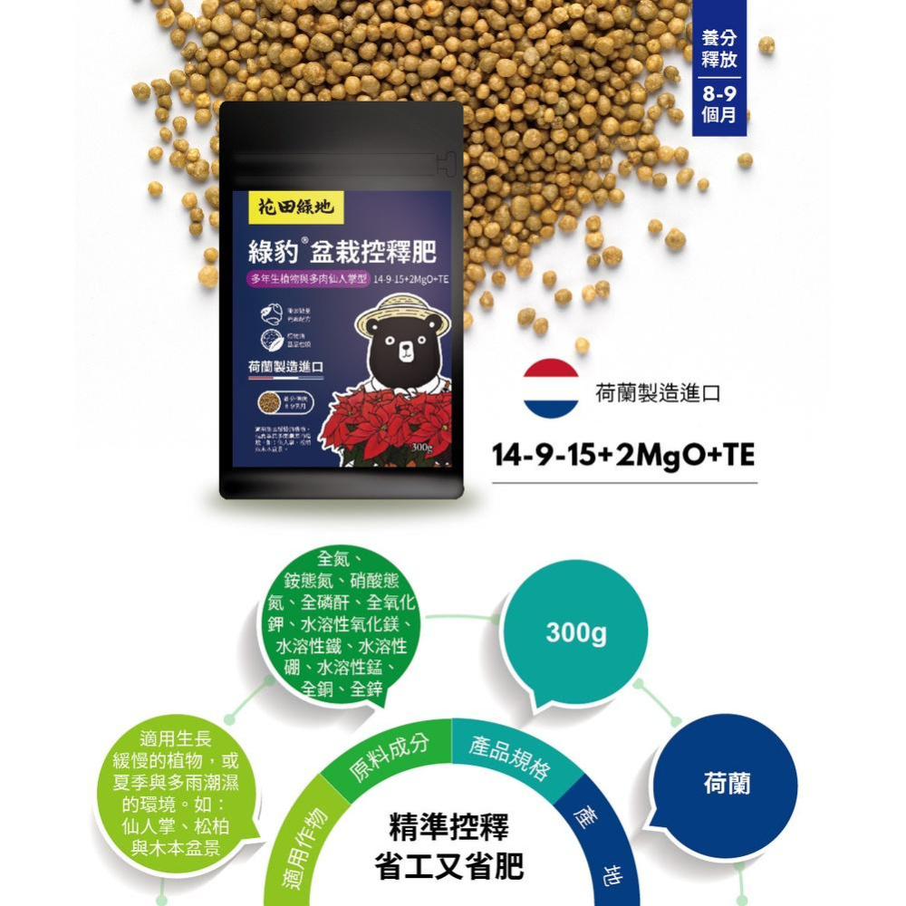 【肉肉朋友】 花田綠地 綠豹 盆栽控釋肥 - 多年生植物與多肉仙人掌型 300g 斑葉植物 鹿角蕨用 緩釋肥-細節圖3