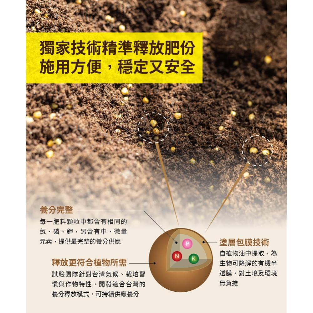 【肉肉朋友】 花田綠地 綠豹 盆栽控釋肥 - 多年生植物與多肉仙人掌型 300g 斑葉植物 鹿角蕨用 緩釋肥-細節圖4