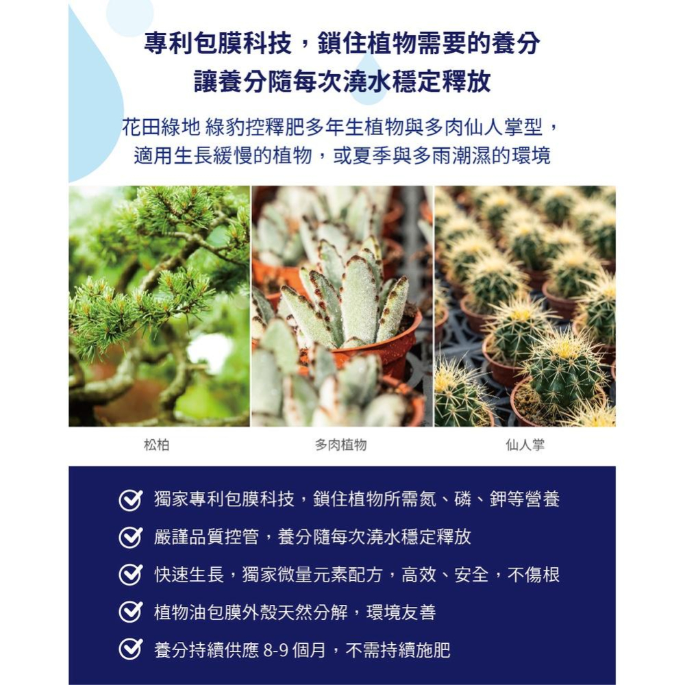 【肉肉朋友】 花田綠地 綠豹 盆栽控釋肥 - 多年生植物與多肉仙人掌型 300g 斑葉植物 鹿角蕨用 緩釋肥-細節圖5