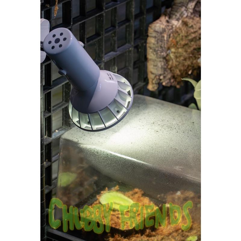 【肉肉朋友】 N10ﾟ Aditya 全光譜植物生長燈 20W E27 觀葉 鹿角蕨 多肉塊根 水草 雨林植物 植物燈-細節圖4