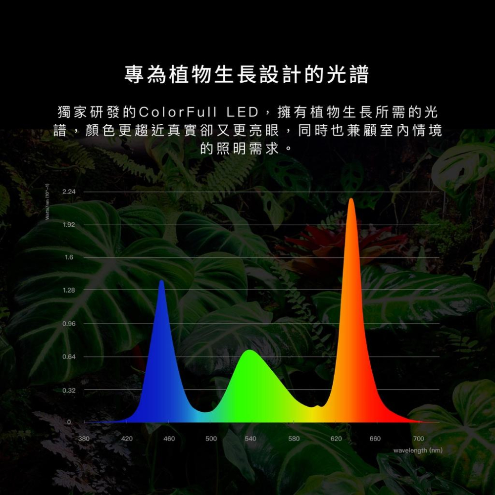 【肉肉朋友】 N10ﾟ Aditya 全光譜植物生長燈 20W E27 觀葉 鹿角蕨 多肉塊根 水草 雨林植物 植物燈-細節圖6