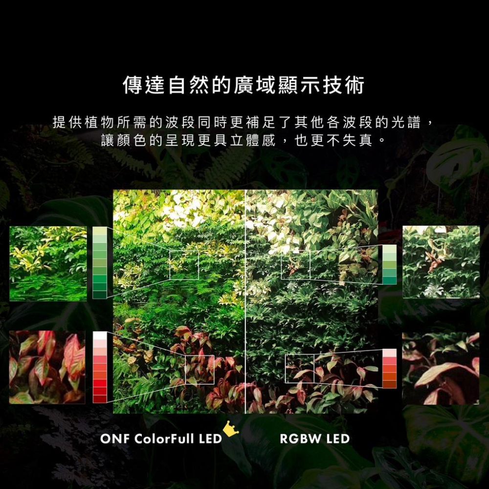 【肉肉朋友】 N10ﾟ Aditya 全光譜植物生長燈 20W E27 觀葉 鹿角蕨 多肉塊根 水草 雨林植物 植物燈-細節圖7