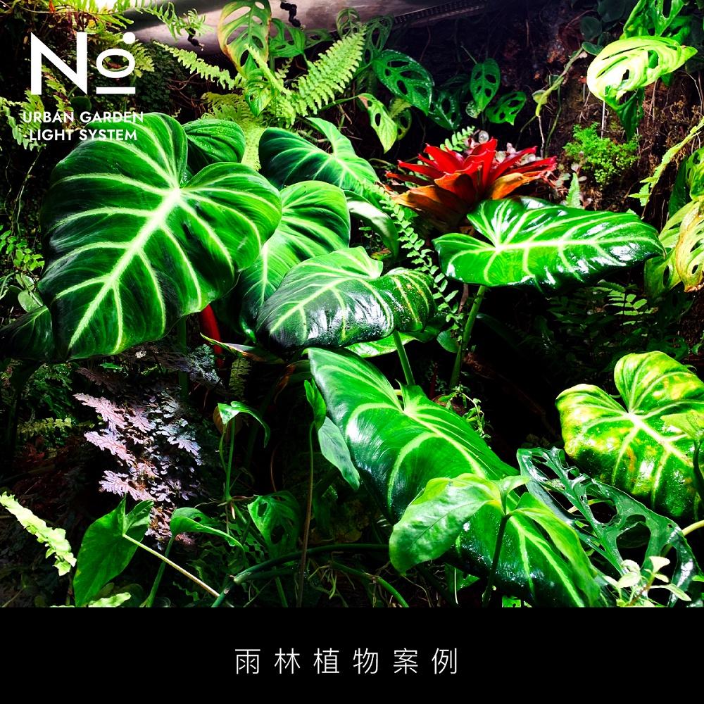 【肉肉朋友】 N10ﾟ Aditya 全光譜植物生長燈 20W E27 觀葉 鹿角蕨 多肉塊根 水草 雨林植物 植物燈-細節圖8