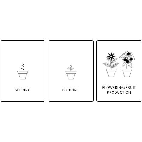 【肉肉朋友】 GE Grow Light LED 全光譜植物生長燈 32W E27 觀葉植物 鹿角蕨 雨林植物 植物燈-細節圖4