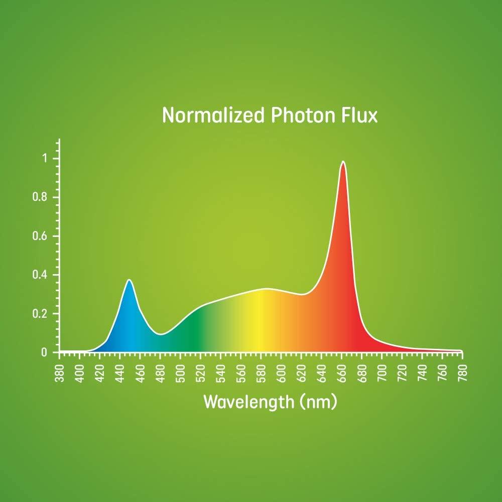 【肉肉朋友】 GE Grow Light LED 全光譜植物生長燈 32W E27 觀葉植物 鹿角蕨 雨林植物 植物燈-細節圖6