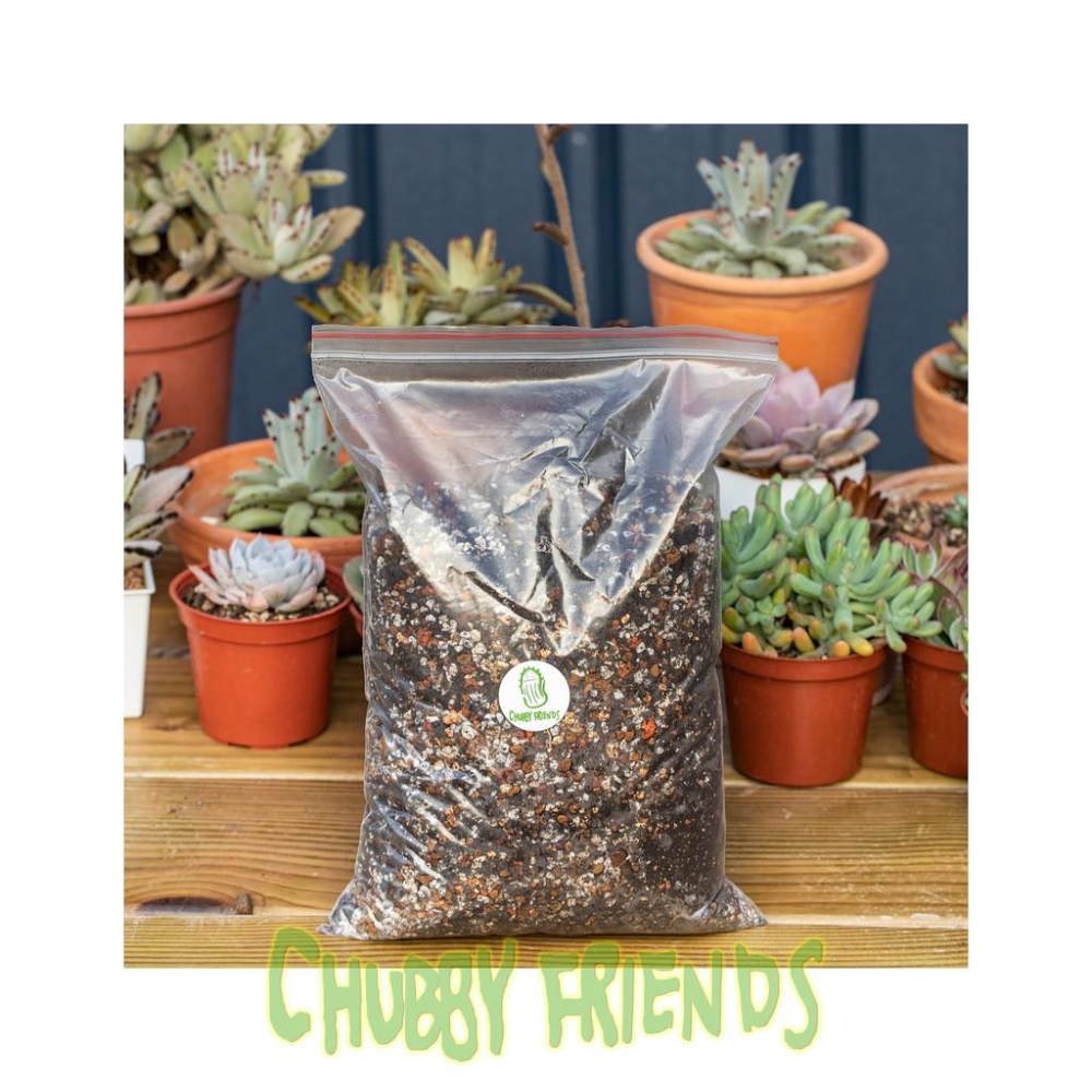 【肉肉朋友】 Chubby Friends 多肉植物 栽培介質 2L-細節圖2