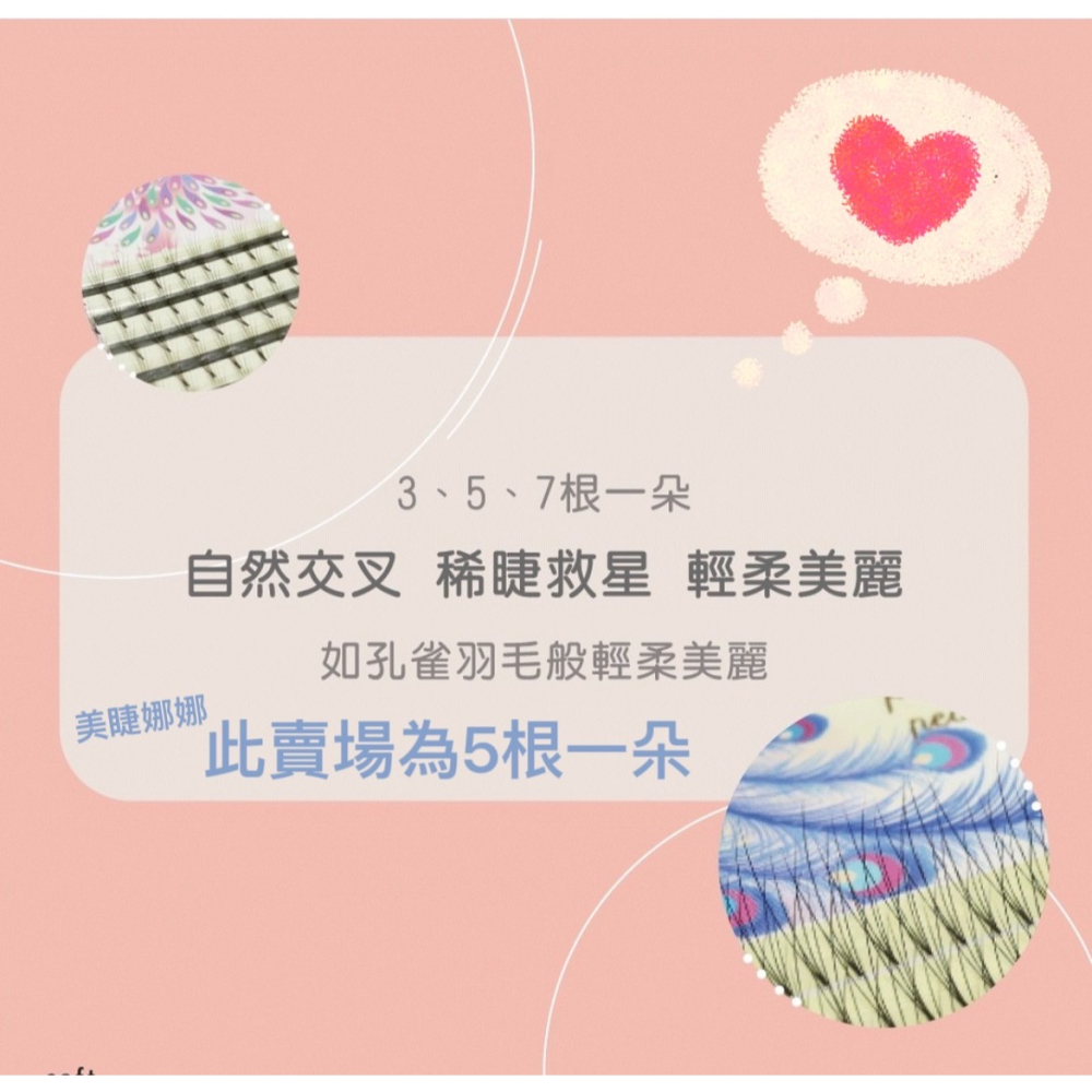 5根一朵 睫老闆 孔雀羽 朵毛 美睫 便利花 開花毛 美睫材料 6D 免開花 法式睫毛 交叉款 台南美睫材料 新款睫毛-細節圖2