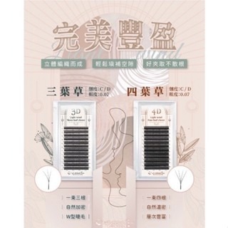 不挑眼型 睫老闆 完美豐盈五葉草 0.07 一束5根 睫毛 台南美睫 中式睫毛 三葉草 中式睫毛 美睫材料 小紅書睫毛-細節圖3